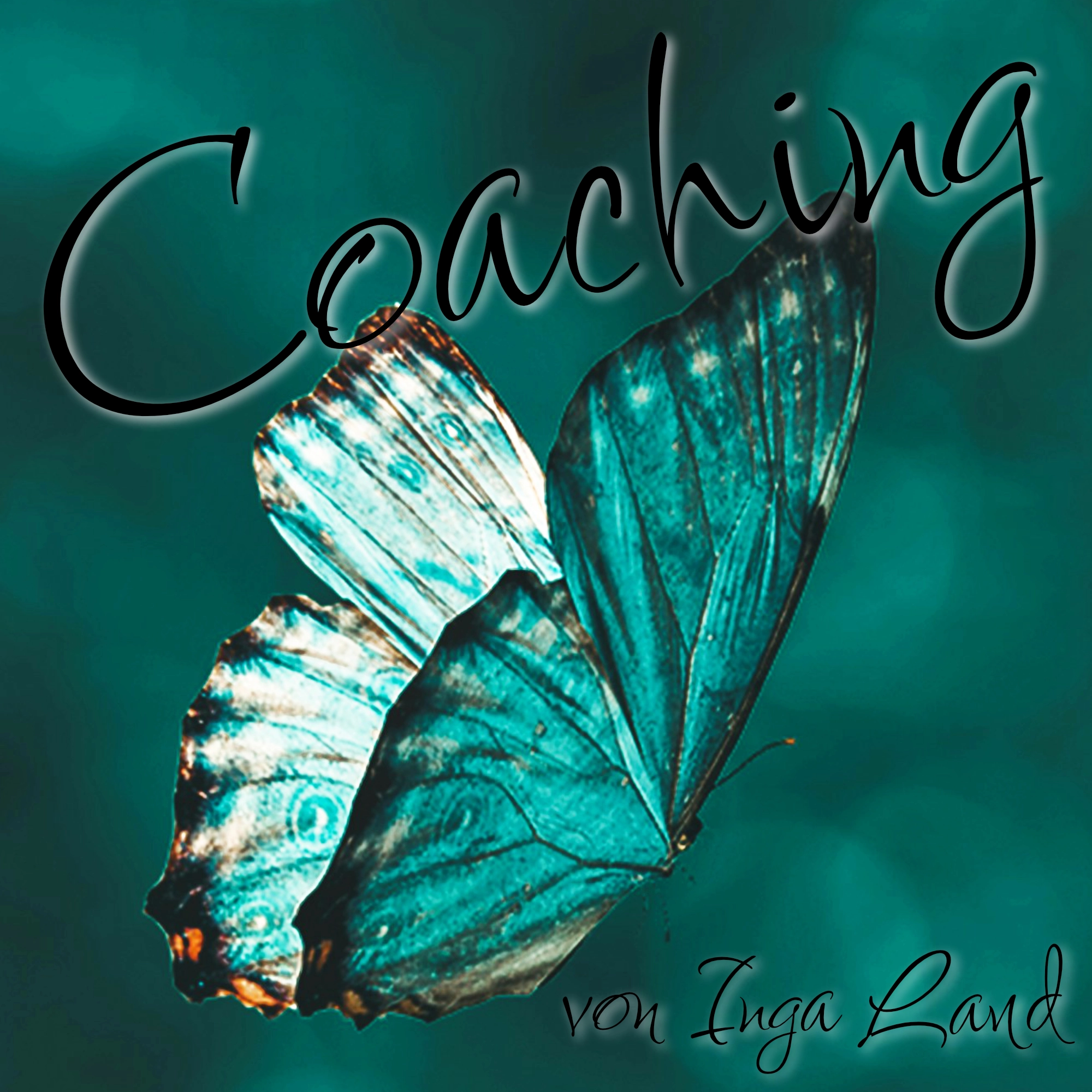 Frühlingsgefühle – jetzt fang ich noch mal neu an