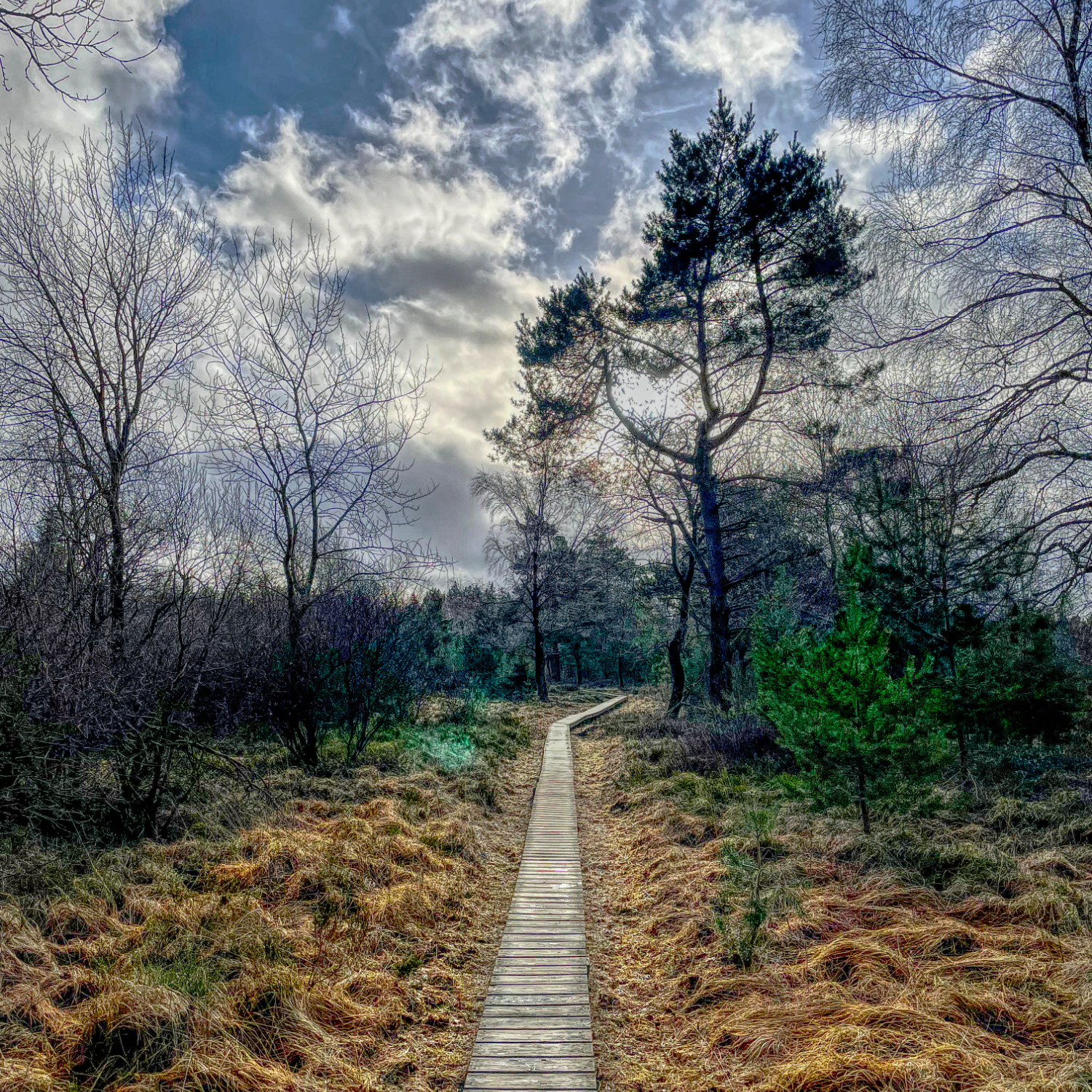 Lasst uns rausgehen, es ist Januar!