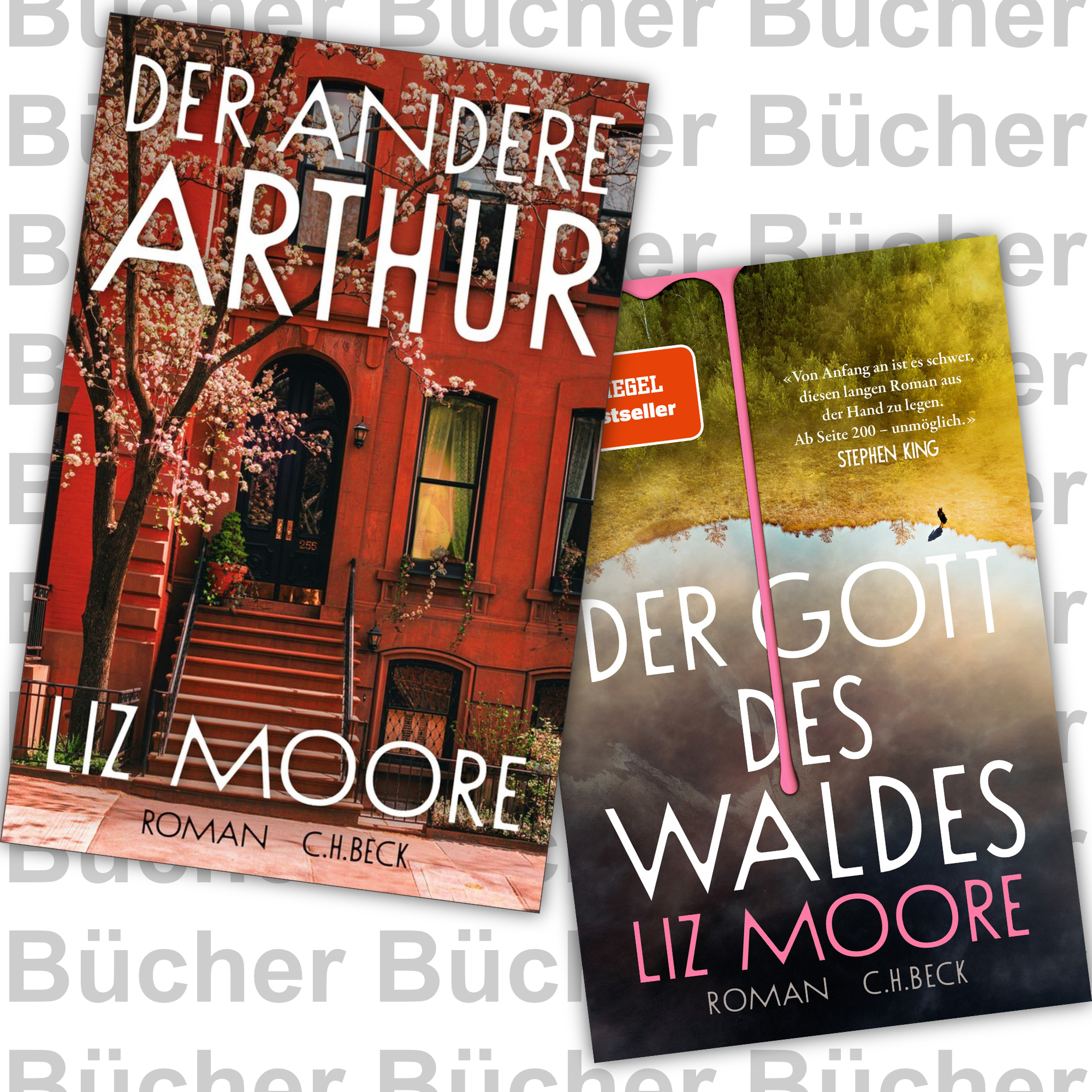 Rezension Liz Moore: altes und neues
